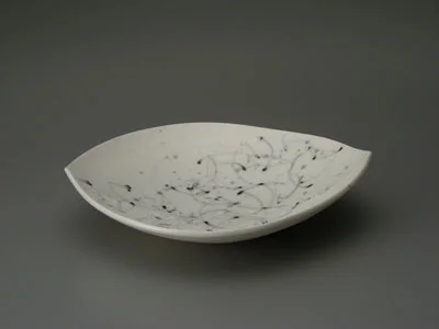 Big Dishes